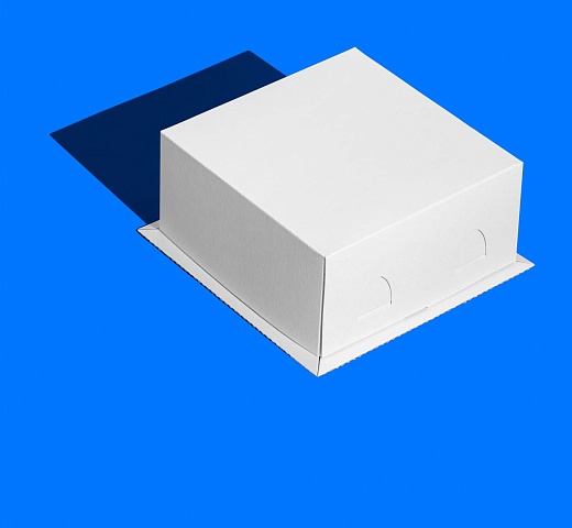 FORGENIKA CHROM W_210x210x100_254.jpg